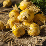 GlucoTonic
